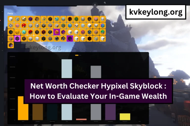 Net Worth Checker Hypixel Skyblock