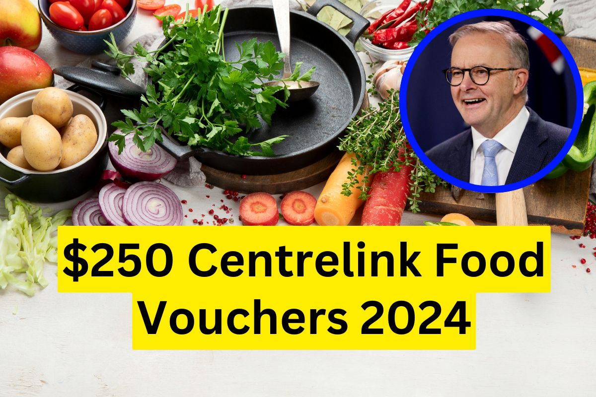 $250 Centrelink Food Vouchers 2024